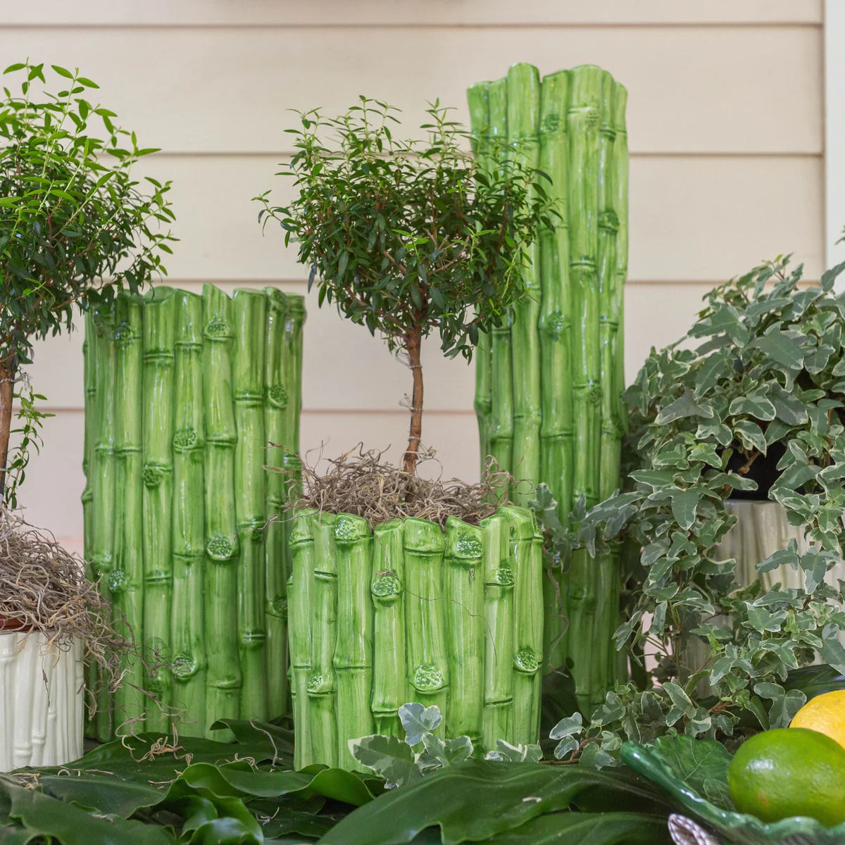 lucky bamboo centerpiece ideas Bamboo All Around Vase, Green – Lacasademartha