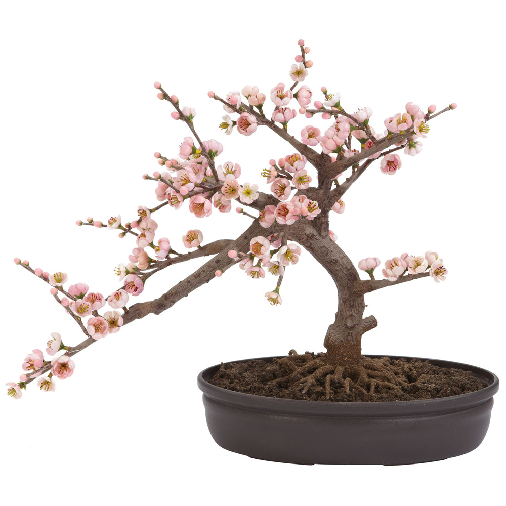 Cherry Blossom Bonsai Silk Tree - Lacasademartha 