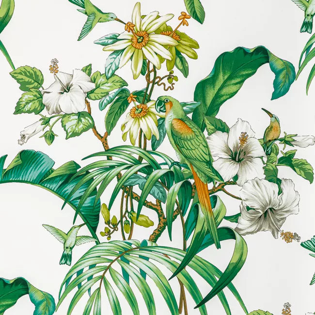 Anima Print