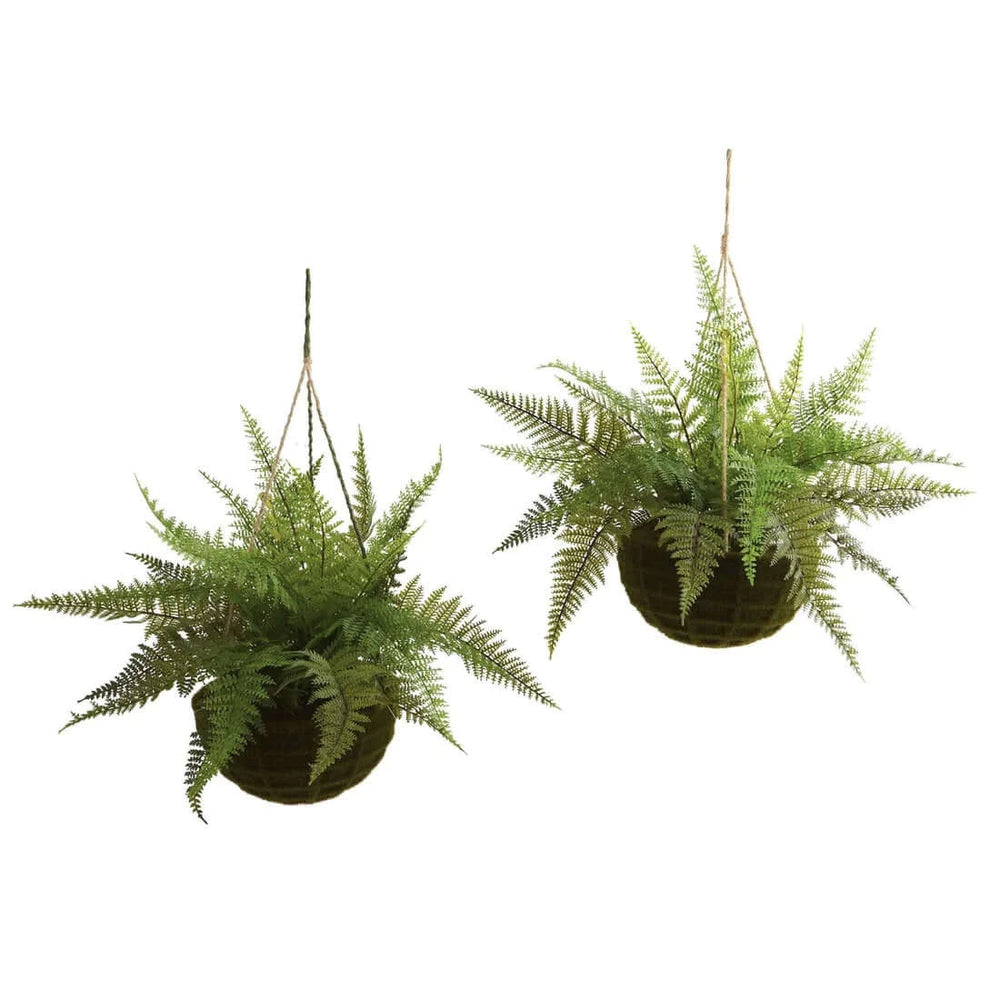 13" Leather Fern Hanging Basket w/ Moss - Set of 2
