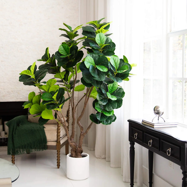 6’ Artificial Grand Fiddle Leaf Tree in White Decorative Planter