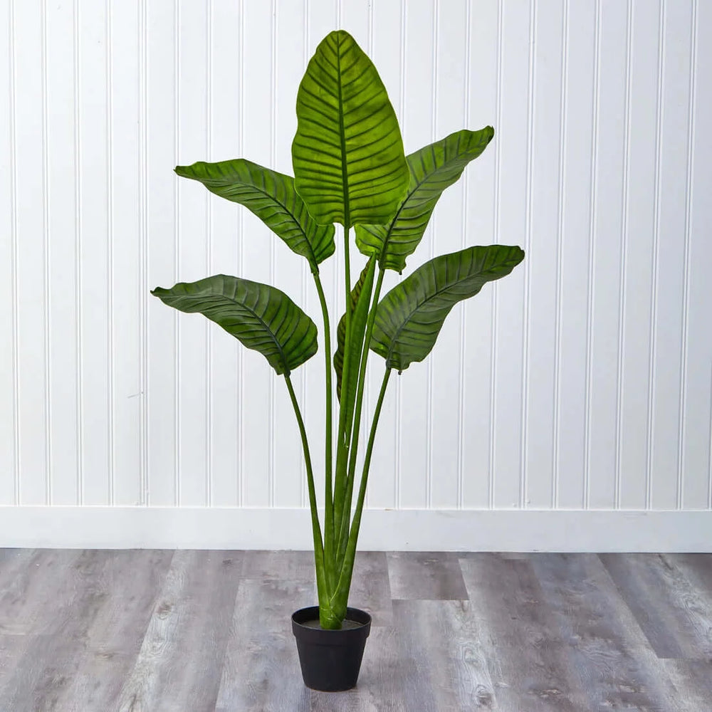 64” Travelers Palm Tree UV Resistant