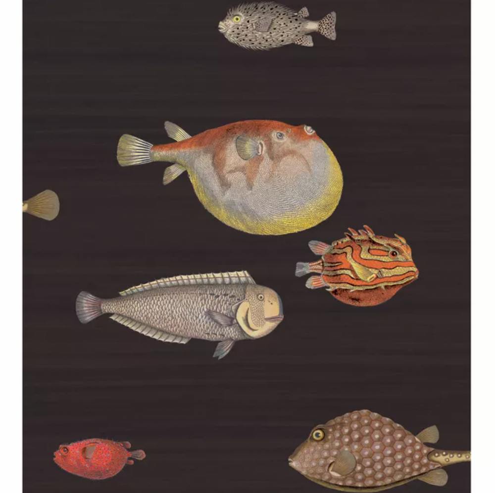 Acquario